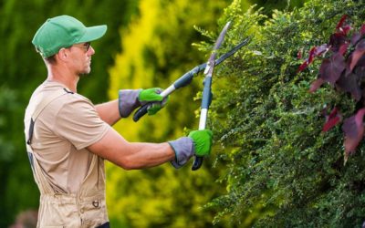 Why Hiring a Landscaper Is Truly Worth It