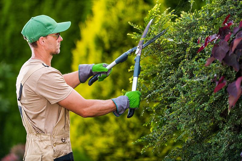 Why Hiring a Landscaper Is Truly Worth It
